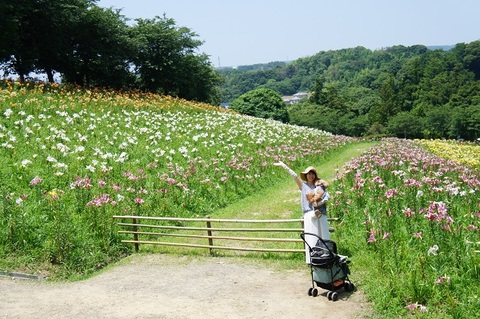 ペットとお出かけ（静岡県袋井市・可睡ゆりの園） | flower