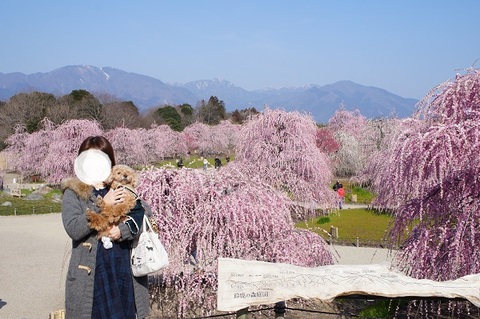 鈴鹿 の 森 セール 庭園 ペット