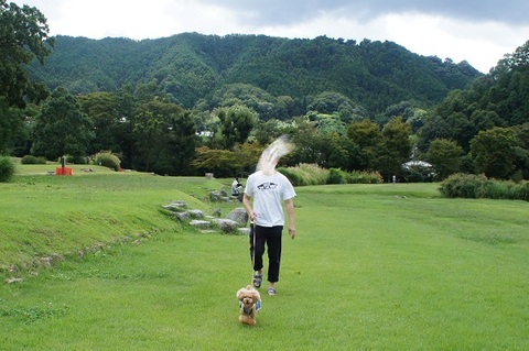 奈良 県 ペット 人気 と お出かけ