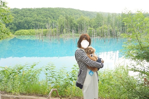 ペットとお出かけ 北海道美瑛 北西の丘展望公園 ぜるぶの丘 Flower Arrangement Design Ka Ren